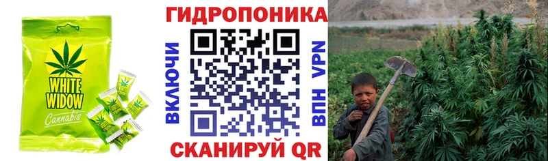 Canna-Cookies марихуана дарк нет наркотические препараты Сретенск