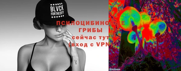 гидра Зерноград