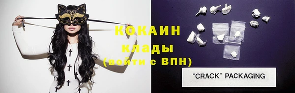 прущие грибы Елизово