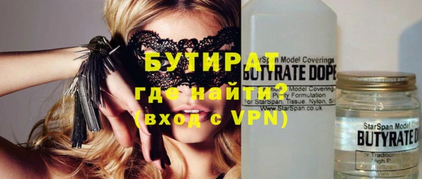 соль ск Ельня