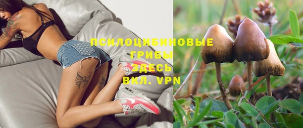 ALPHA-PVP Зеленокумск